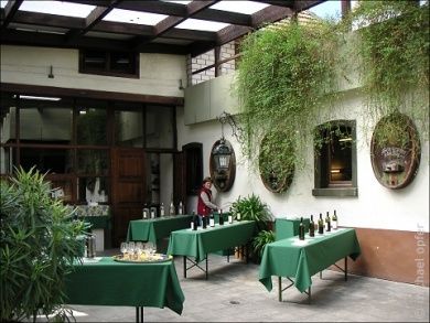 Weingut Adolf Schick in Rheinhessen