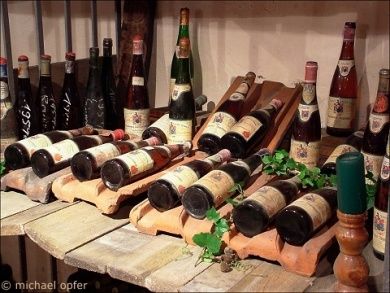 Weingut Adolf Schick in Rheinhessen