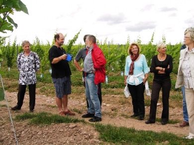 Weinhof und Pension Hubert Schreiber