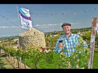 Weinhof und Pension Hubert Schreiber