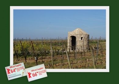 Weinhof und Pension Hubert Schreiber