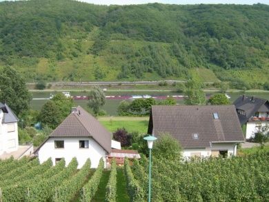 Ferienwohnung Moselblick (Mittelmosel)