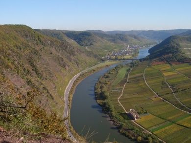 Ferienwohnung Moselblick (Mittelmosel)