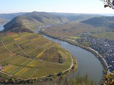 Ferienwohnung Moselblick (Mittelmosel)