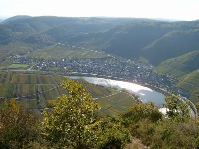 Ferienwohnung Moselblick (Mittelmosel)