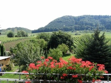 Gästezimmer Wilfried & Anja Müllen - Moselurlaub in Ernst bei Cochem