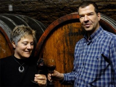 Friedrichshof - Weingut & Gästehaus in Rheinhessen