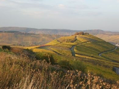 Weingut & Ferienwohnungen Norwig