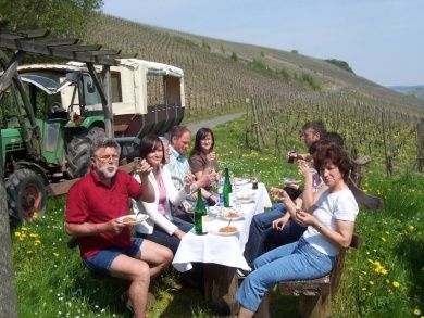 Weingut & Ferienwohnungen Norwig