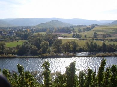 Weingut & Ferienwohnungen Norwig