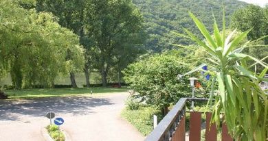 Ferienwohnung & Metzgerei Mittelmosel