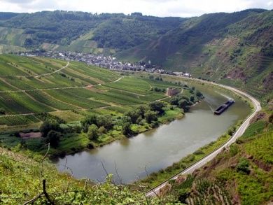 Mosel-Ferienwohnung Backes