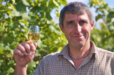 Ferienweingut Otmar Göbel in Ernst an der Mosel - Ferienwohnungen