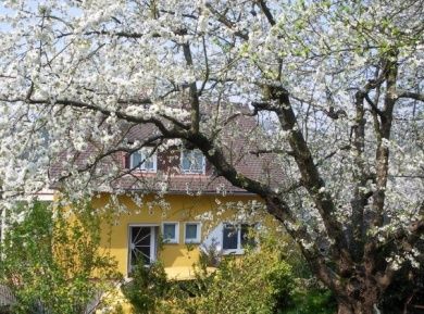 Haus unterm Kirschbaum - Ferienwohnung im Lahntal