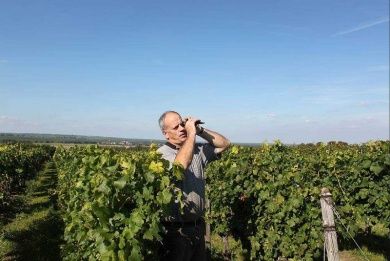 Gästehaus & Weingut Peth