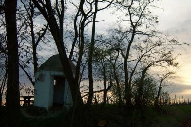 Gästehaus & Weingut Peth