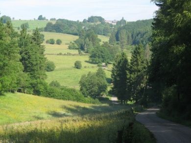Gruppenhaus Snowview Lodge/ belgische Eifel