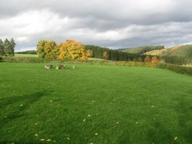 Gruppenhaus Snowview Lodge/ belgische Eifel