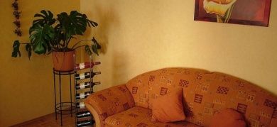 Winzerhof Schwerdt - Ferienappartements