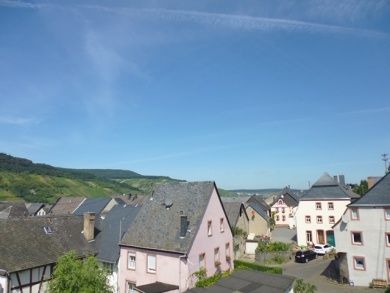 Gästehaus Helmut & Christa Schneider - Mittelmosel