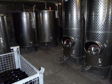 Bio-Ferienweingut Leyendecker - Ferienwohnungen