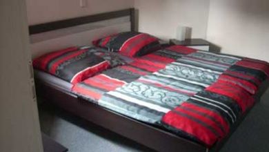 Ferienwohnung im Herzen Rheinhessens