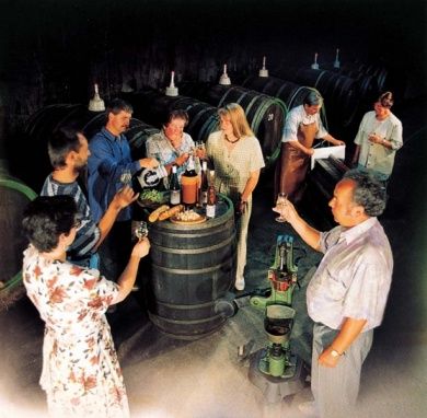 Weingut - Weinstube - Gästezimmer Fröhliches Weinfass