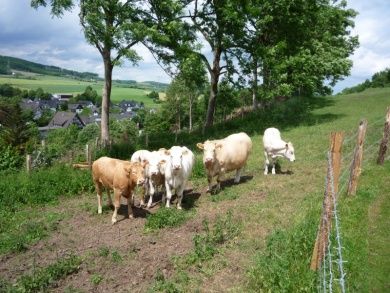 Pension Goebel - Erholung und Freizeit im Sauerland