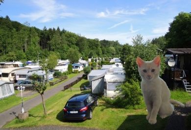 Eifelcamping Reles-Mühle - Mietcaravans, Bungalows, Stellplätze