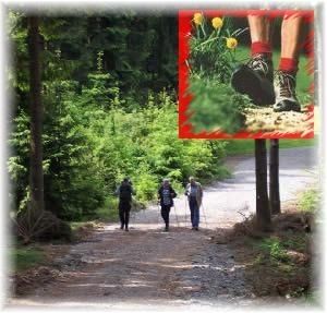 Eifelcamping Reles-Mühle - Mietcaravans, Bungalows, Stellplätze