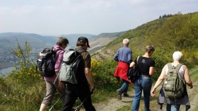 Moselcampingplatz Traben-Trarbach