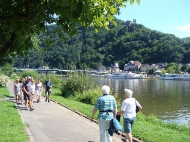 Moselcampingplatz Traben-Trarbach