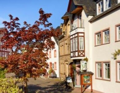 Ferienweingut Brunnenhof