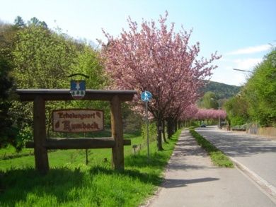 Wirtshaus und Gästehaus Zum Salztrippler