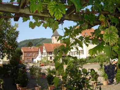 Wirtshaus und Gästehaus Zum Salztrippler