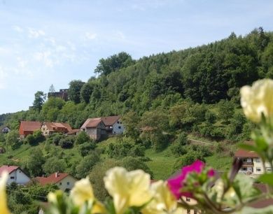 Hotel - Landgasthof Grüner Baum