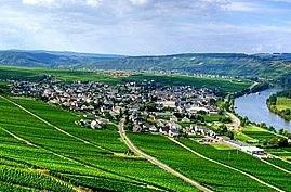 Wein- und Sektgut Heinz Schneider