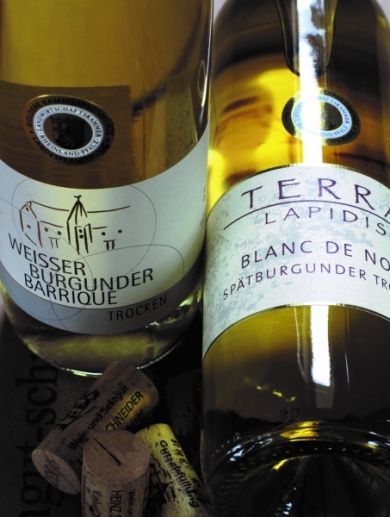 Wein- und Sektgut Heinz Schneider