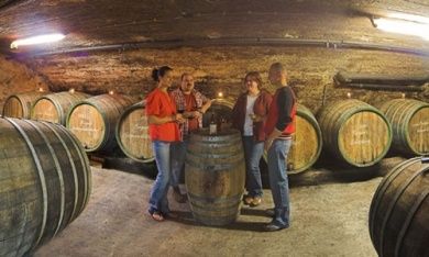 Weingut Daun