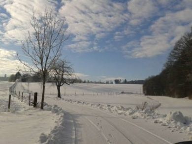 Hubertushof Eifel - Ferienhof