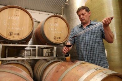 Weingut Haub 
