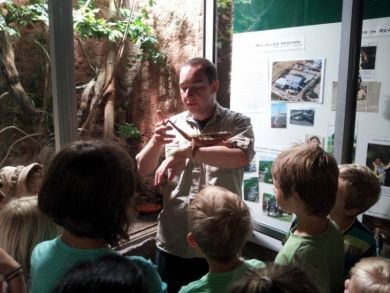 Reptilium Terrarien- und Wüstenzoo Landau