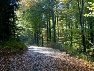 Ferienhaus Haierwiese bei Nassau und Bad Ems
