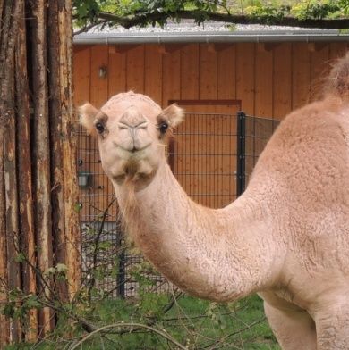 Zoo Landau in der Pfalz