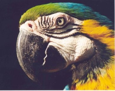 Zoo Landau in der Pfalz