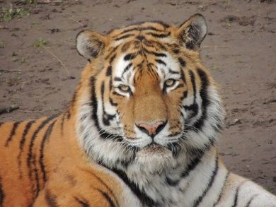Zoo Landau in der Pfalz