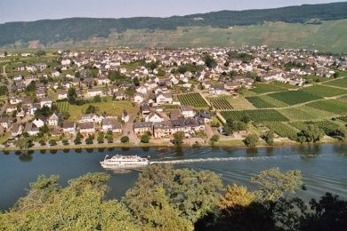 Cafe Weinhaus Alt Reinsport mit Moselblick