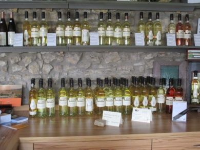 FamilienWeingut Feser mit Vinothek, ****Ferienwohnungen & Erlebnis