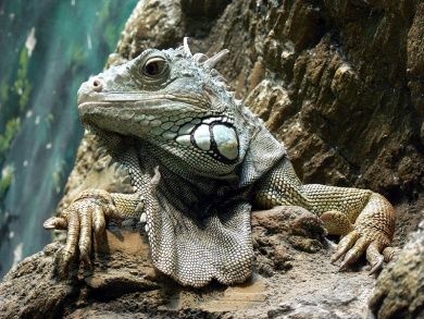 Zoo Landau in der Pfalz