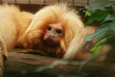 Zoo Landau in der Pfalz
